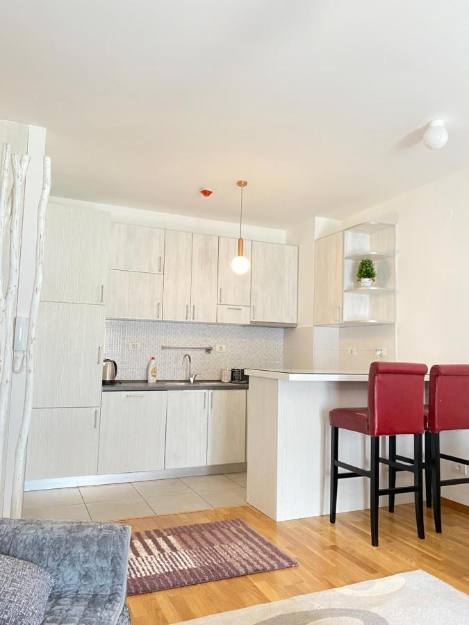 Apartman Vesna City 2. Pg Podgoriţa Exterior foto